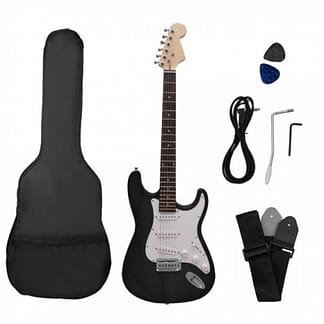 Chitara Electrica-Flame CST 10 BK